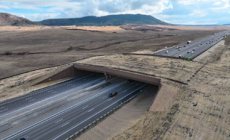 North America’s Largest Wildlife Overpass: Completed In Less Than a Year