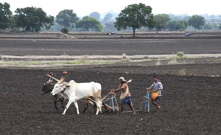 Karnataka farmers to get rewarded for sustainable practices: A step towards eco-friendly farming