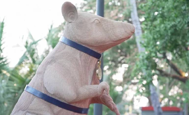 Cambodia unveils the world’s first statue dedicated to a landmine detecting rat
