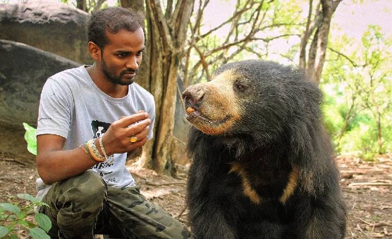 Vet Dr Arun A Sha marks 23 years protecting India’s ‘Dancing Bears’ from exploitation