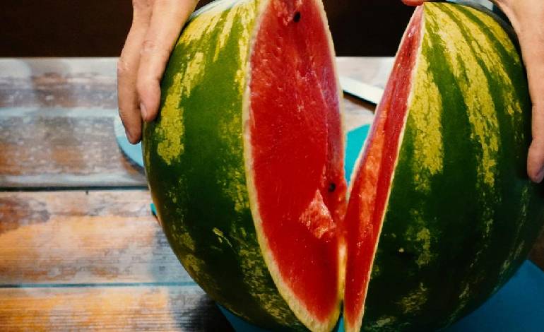 Watermelon season in full swing as India embraces the African fruit as its own