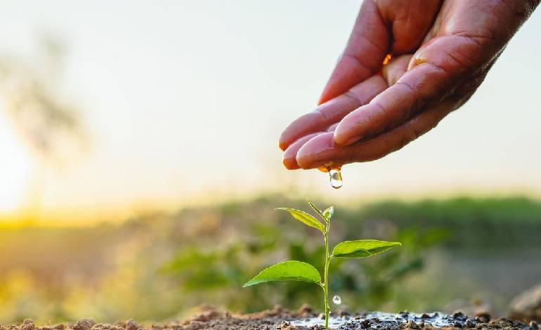 India charts ambitious climate adaptation path in 2031–35 goals, aligns with global finance push