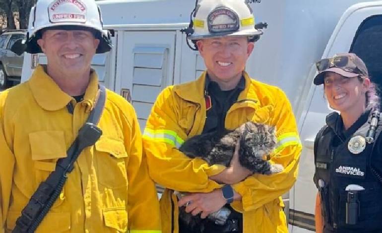 Cat named ‘Toast’ survives 72 hours in Utah apartment fire, reunited with owners