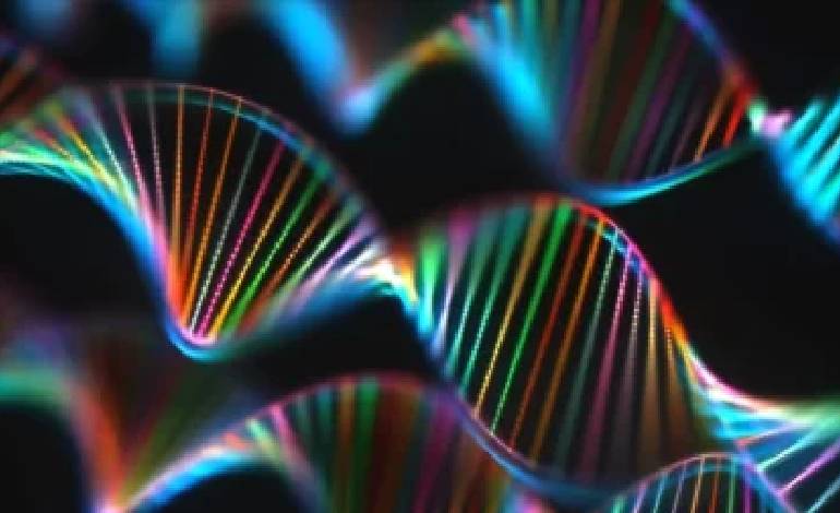 Scientists turn CRISPR enzyme into “molecular kill switch” to target cancer cells