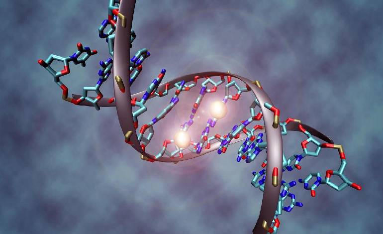 Johns Hopkins study finds ‘second layer’ of inheritance beyond DNA sequence