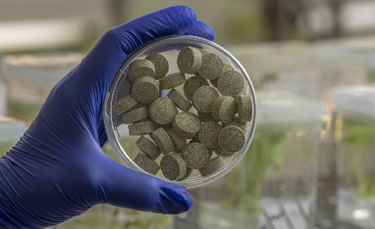 Chewing gum cuts oral cancer-linked microbes by 93%, Penn study finds