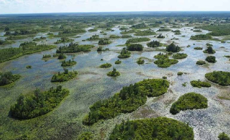 Georgia’s Okefenokee Swamp added to UNESCO World Heritage List