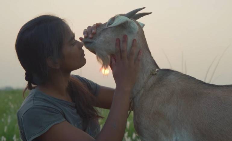 ‘Village Rockstars 2’ review: Rima Das proves lightning can strike twice