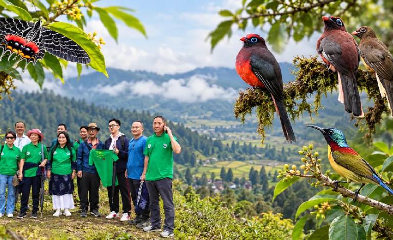 Ziro Valley looks beyond music festival to celebrate its hidden Wildlife