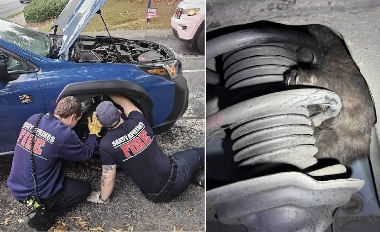 Georgia teacher finds 1-pound kitten trapped under car – just in time for Halloween anniversary