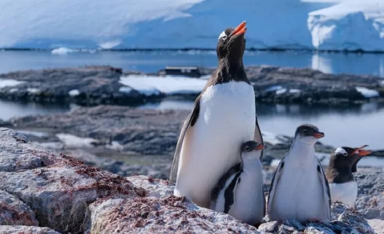 Eight volunteers brave Antarctica to repair world’s most remote post office